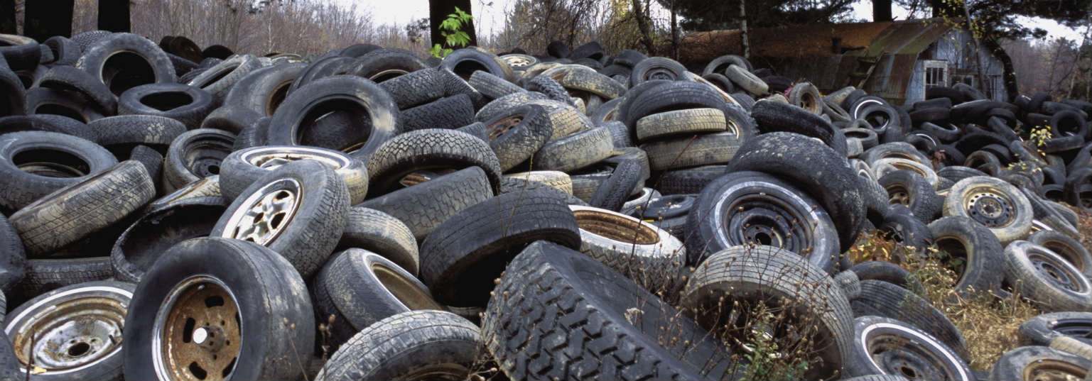 Applications of circular economy to sustainability