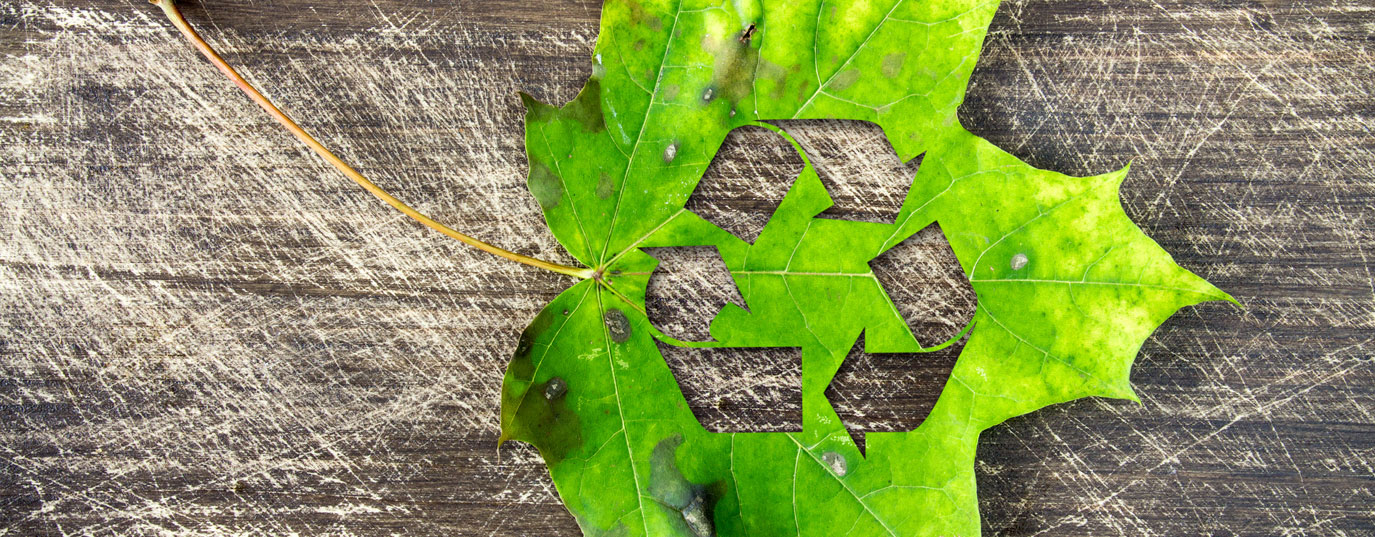 What is circular economy?