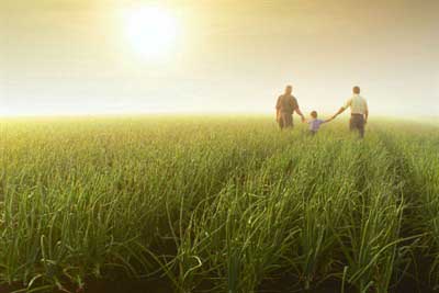 The sustainability of the food system