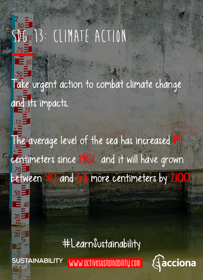 #LearnSustainability: SDG 13