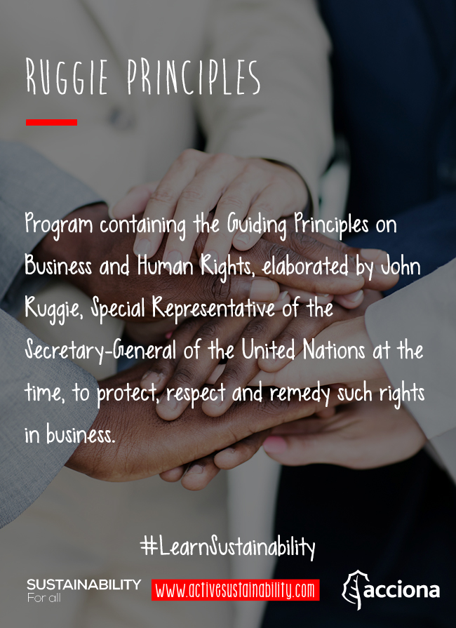 #LearnSustainability: Ruggie Principles