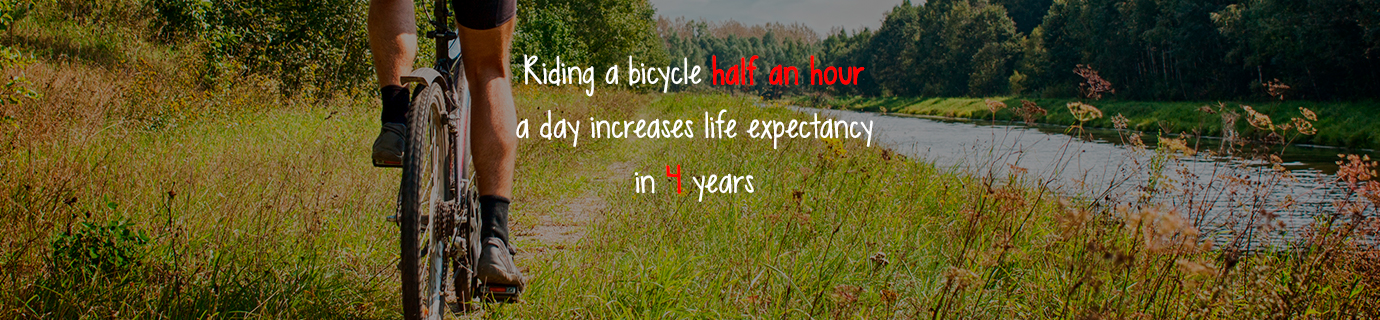 #LearnSustainability: Bike and life expectancy