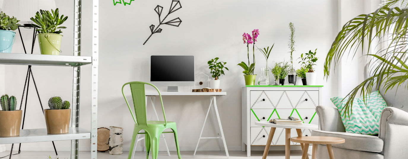 Indoor plants cleaning the air