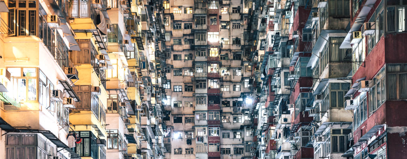 Global population hits eight billion – Causes and consequences of overpopulation 