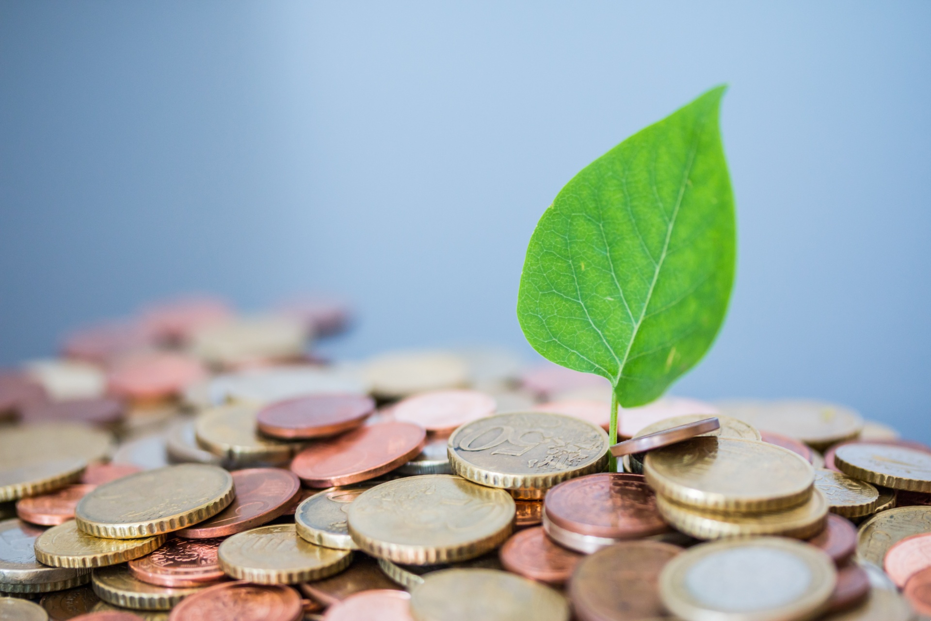 What is regenerative capitalism and how does it promote sustainable development?
