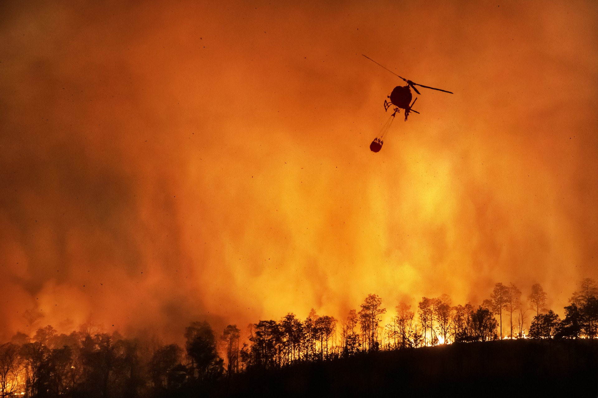 Climate change, floods and fires — what's going on?
