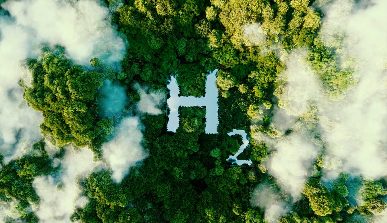 Green hydrogen: the key to decarbonizing industry?