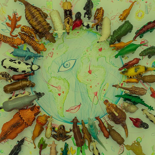 Megadiverse countries and why they are vital for conserving the planet