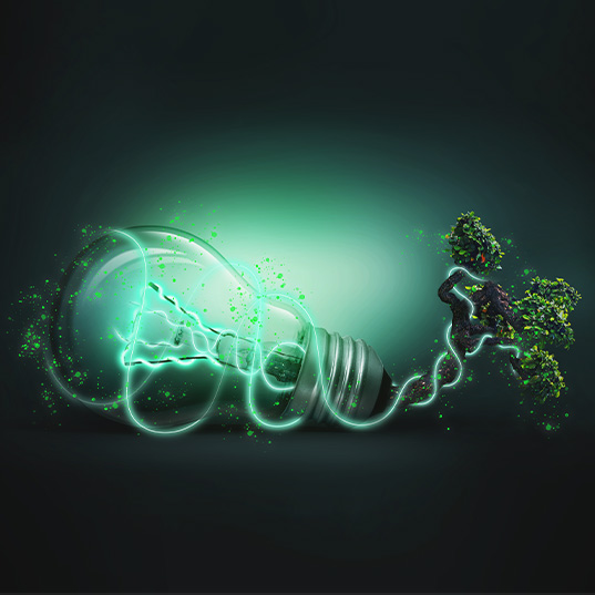 The race to develop green hydrogen - a sustainable challenge