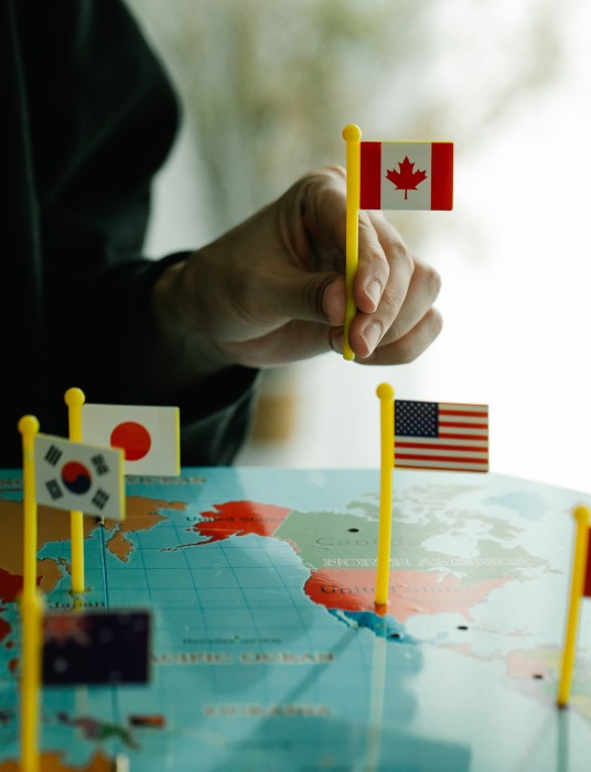 hand placing flags