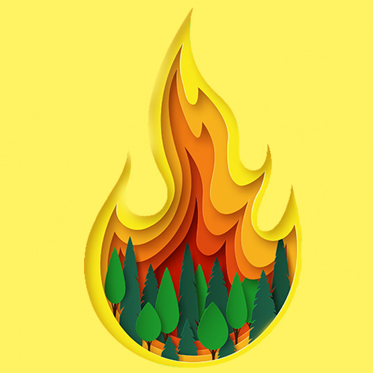 The ozone layer is recovering, but forest fires may affect its regeneration 