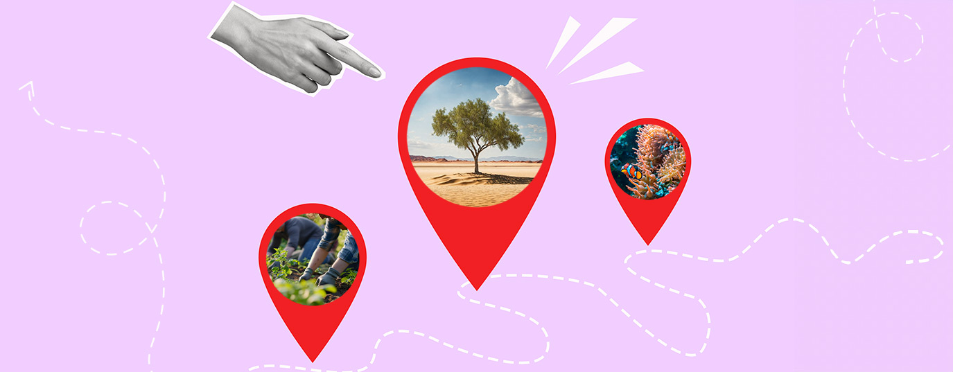 The power of local action: tales from the sustainability revolution