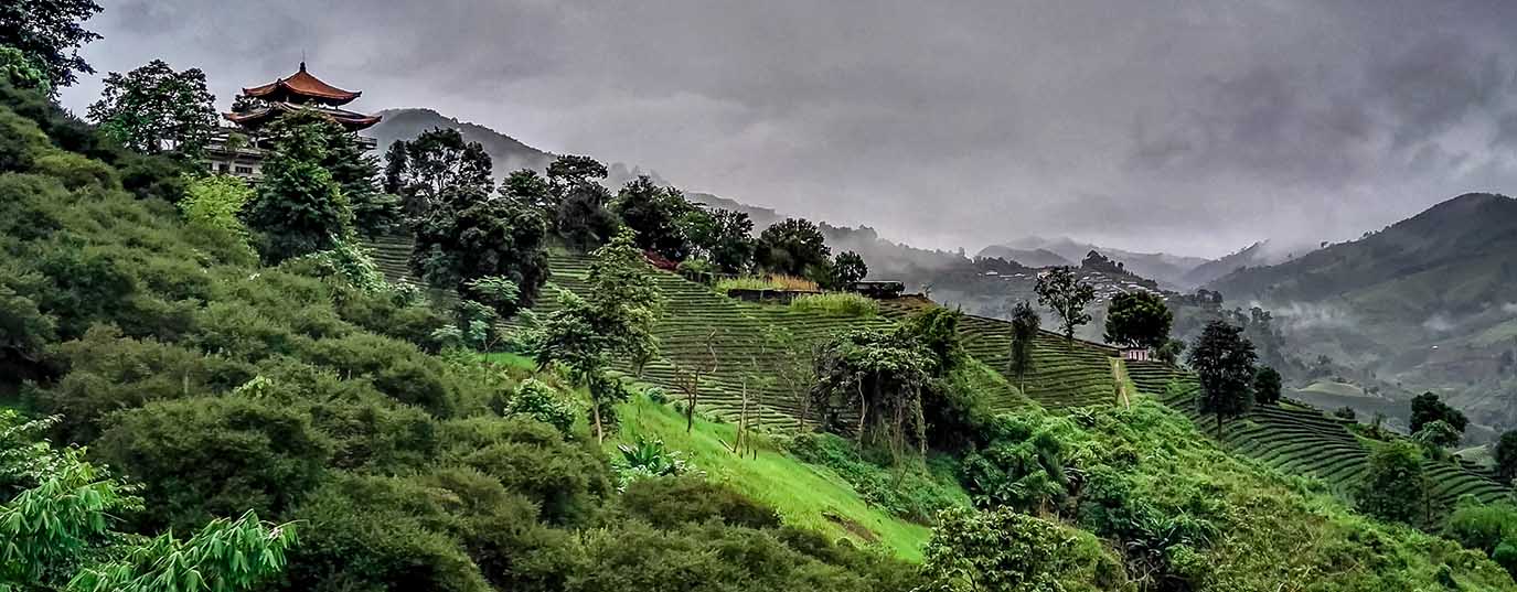 Sustainable tourism: an engine for development