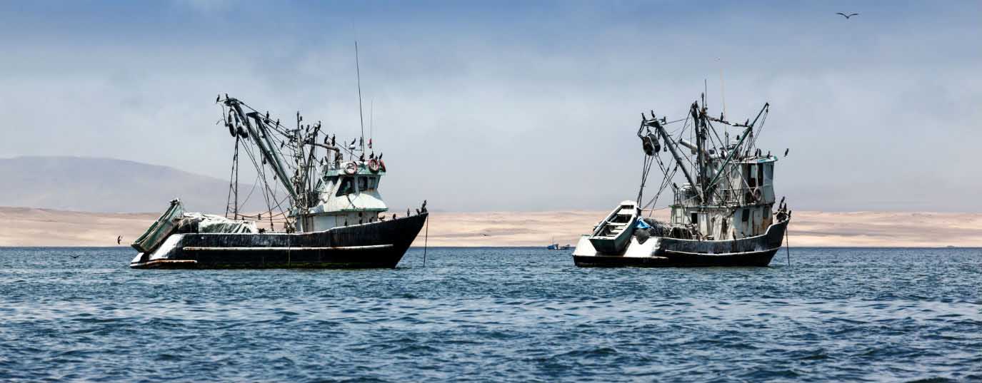 Guide to responsible fish consumption