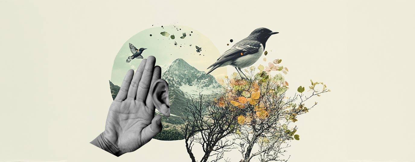 alt-img-medio-ambiente